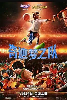 奇迹梦之队