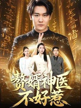 赘婿神医不好惹